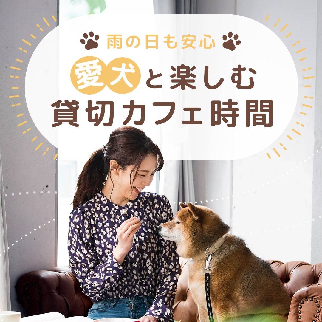 popup_banner