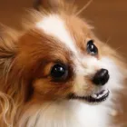 ヘルスケア
