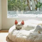 コンセプト