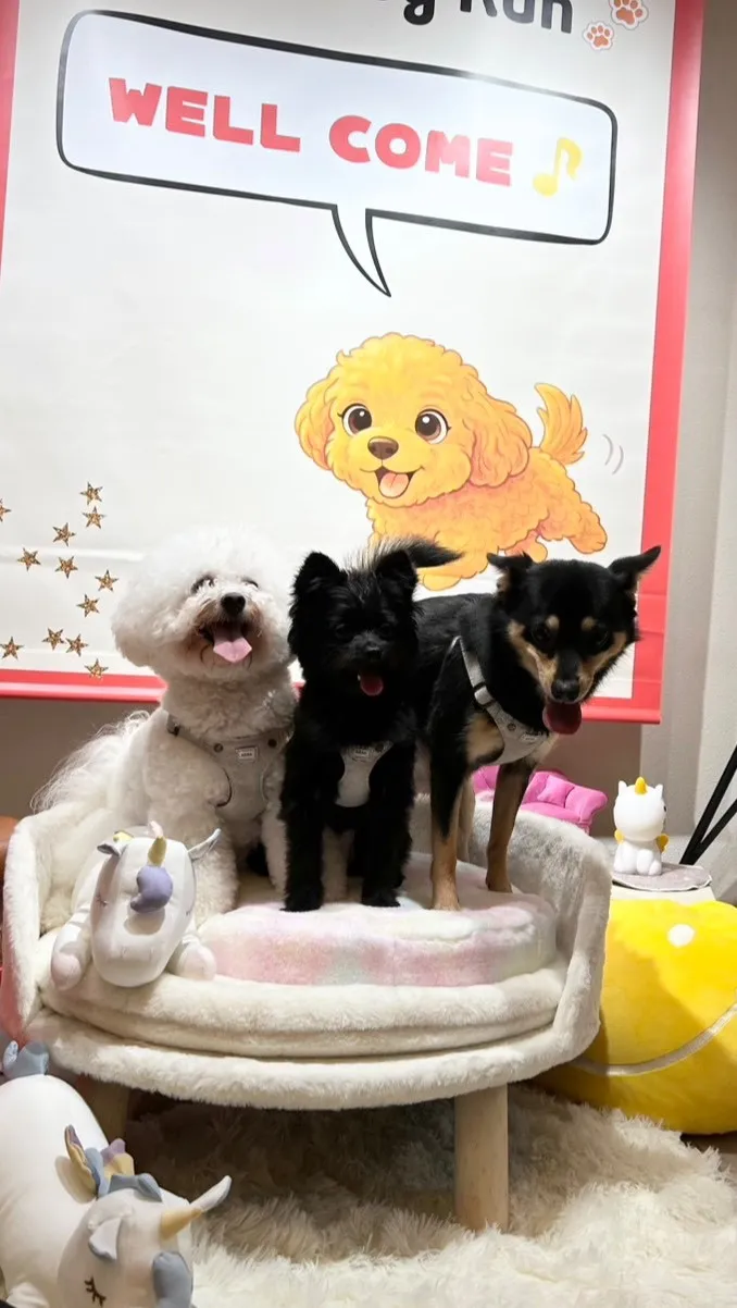 Cute 3 Girls🐶✨