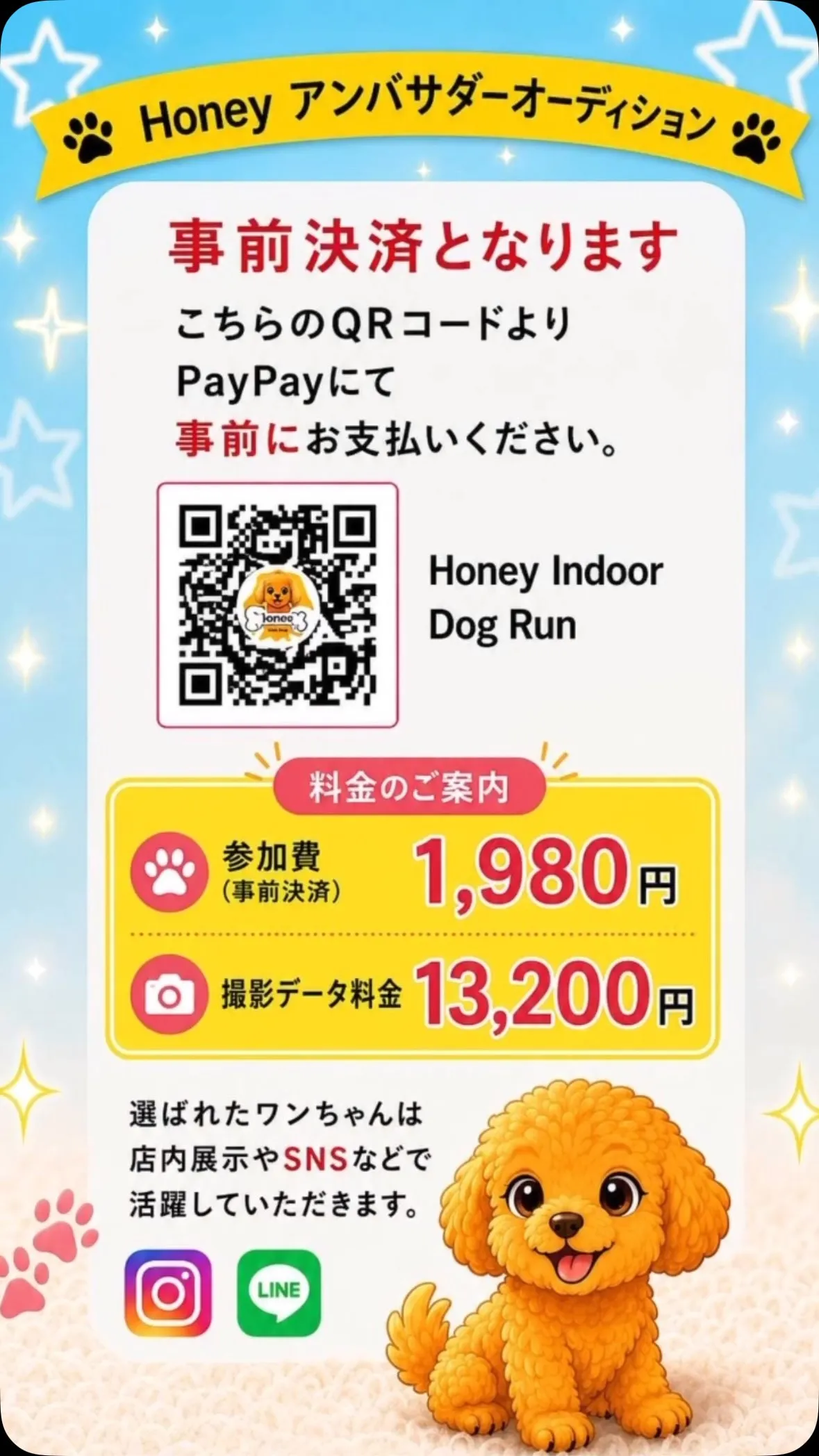開催まであと10日⭐️