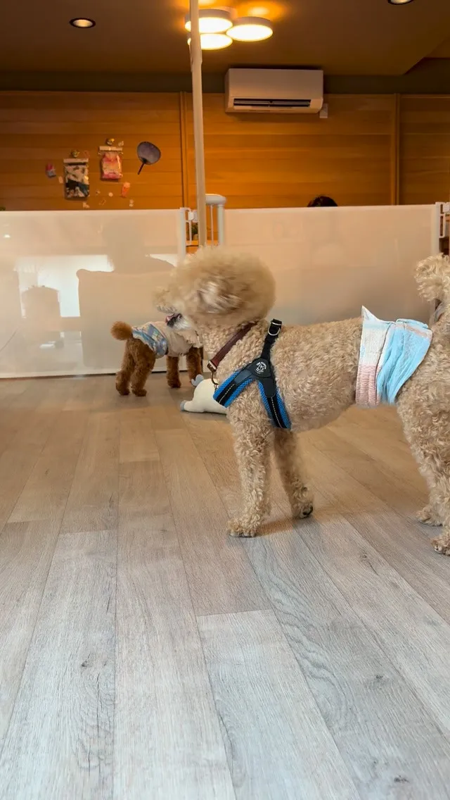 初ご予約のお客様とお会いできました💕