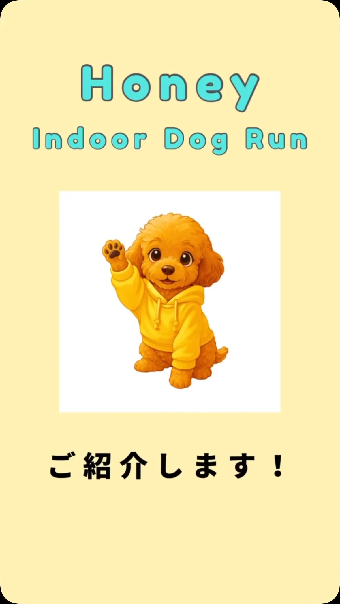 Honey indoor dog runのご紹介🐶